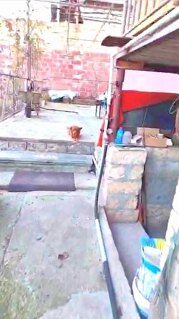 Həyət evləri və villaların satışı: 3 otaqlı, 670 kv. m, Kredit yoxdur, Orta təmir — 35