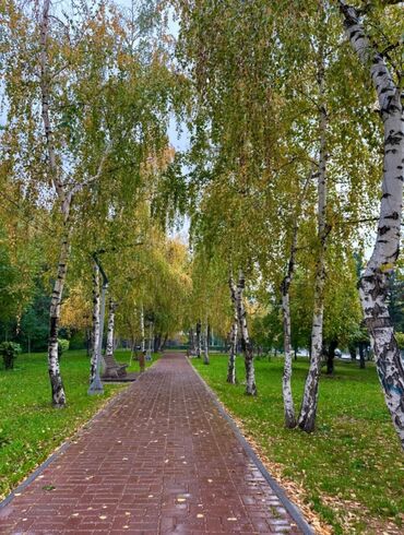 сертификат кут: 2 бөлмө, 44 кв. м, 104-серия, 1 кабат, Эски ремонт