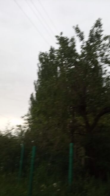 Дрова: Дрова Самовывоз at lalafo.kg Дрова: Дрова Самовывоз