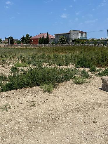 5 sot, Kupça (Çıxarış)