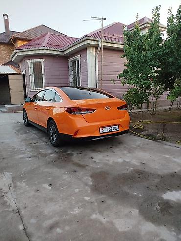 шинен москвич: Hyundai Sonata: 2019 г., 2 л, Автомат, Газ, Седан — 4
