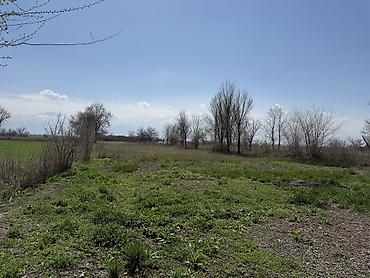 Продажа коттеджей и домов: Продается дом. г.Кара-Балта(в с.Вознесеновка). Дом состоит из — 15