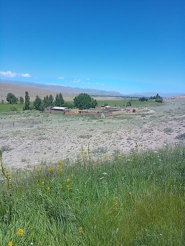 Продажа дач: Жакшы жер мал бакканга ылайыкту кызыл китеби бар жердикида уйдукуда — 11