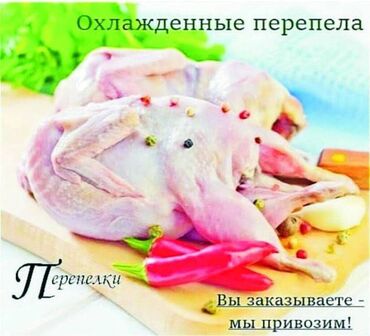 Куплю с/х животных: Скупаю в большом количестве перепелиное мясо нужен вес от 160 шрамм