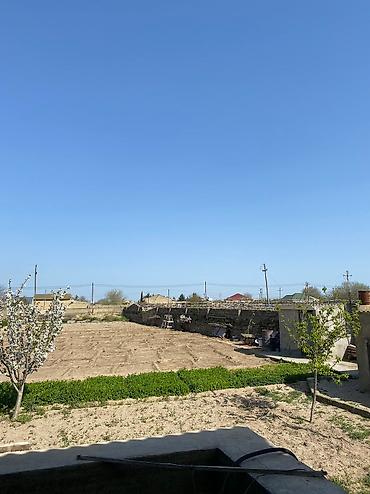 turkanda torpaq satılır: 20 sot, Kupça (Çıxarış) — 3
