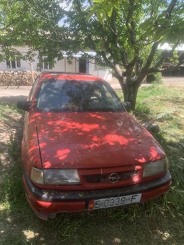 Opel: Opel Vectra: 1991 г., 1.8 л, Механика, Бензин, Седан — 2