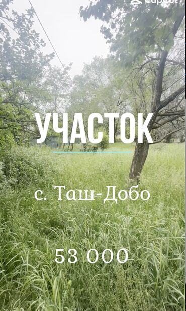 речка дача: Времянка, 15 м², 1 комната, Собственник