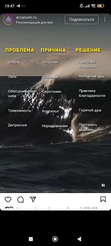 Прицепы и полуприцепы: Прицеп, Б/у — 17