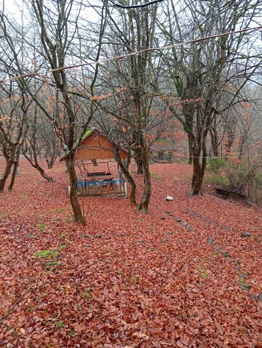Restoran, kafelər: Masalli İsti su yaxin. 3 hektar ərazi 7 katej 6 bisetka. Tam islek -da lalafo.az — 19 Restoran, kafelər: Masalli İsti su yaxin. 3 hektar ərazi 7 katej 6 bisetka. Tam islek — 19