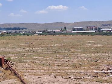 fermaya: Haciqabulda ferma satılır.15 hektar.350kv.tikili.kənd tədərrüfatı — 7