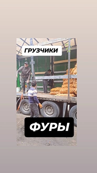 дополнительный заработок: Грузчик. 3-5 лет опыта