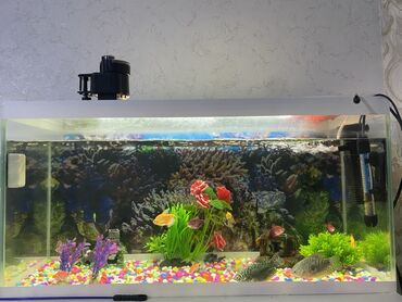 akvarium filter: Yenidir az istifade olunub isimle bagli vaxtm olmadigi ucun satiram