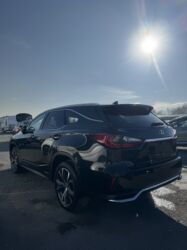 Lexus: Lexus RX: 2019 г., 3.5 л, Автомат, Гибрид, Кроссовер — 6
