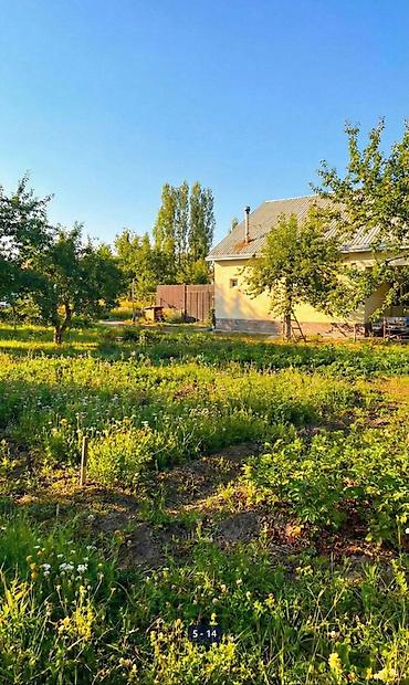 Продажа дач: 🏡🔥 ДАЧА У РЕКИ | АРАШАН 🌊⛰️ 📍 Закрытый кооператив “Предгорный” ✅ — 5