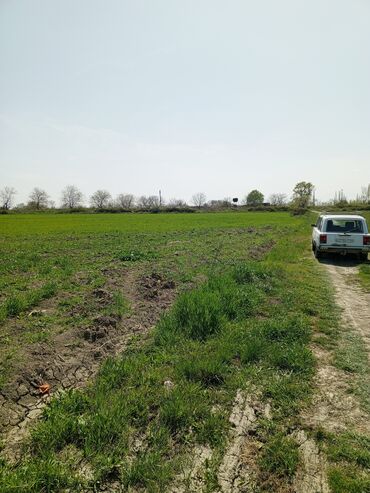 Torpaq sahələrinin satışı: 187 sot, Kənd təsərrüfatı, Barter mümkündür, Texniki pasport -da lalafo.az — 17 Torpaq sahələrinin satışı: 187 sot, Kənd təsərrüfatı, Barter mümkündür, Texniki pasport — 17