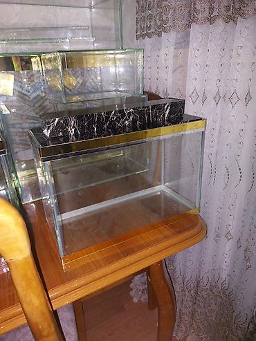 Akvariumlar: Çatdırılma tam pulsuzdu ölçü və dizaynında dəyişiklik etməy olar arxa — 10