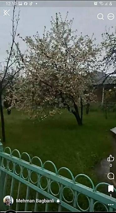 Uzunmüddətli kirayə evlər: 200 kv. m, 8 otaq — 11
