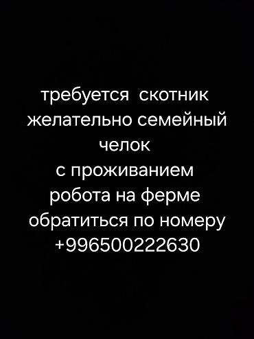 требуется it: Вакансия: скотник на ферму - Работа на ферме - Предпочтительно — 1