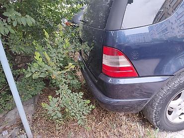 w163: Mercedes-Benz M-Class: 1999 г., 2.3 л, Механика, Бензин, Внедорожник — 5