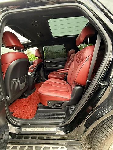 Hyundai: Hyundai Palisade: 2019 г., 2.2 л, Автомат, Дизель, Кроссовер — 11