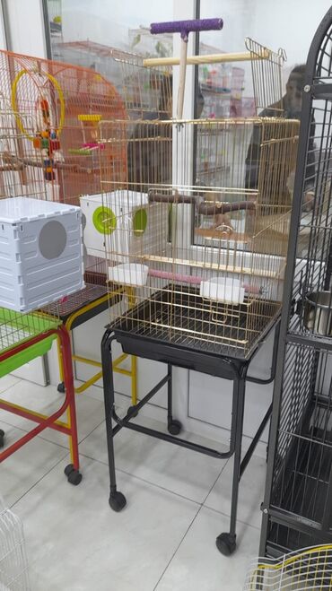 Qəfəslər: Təzə Qəfəslər 9azn boş qəfəslər Valnisti Tutuquşu Qəfəsi 9azn Amadin — 25