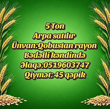 arpa satisi: Məhsul: Arpa Miqdar: 5 ton Ünvan: Qobustan rayonu, Bədilli kəndi — 1