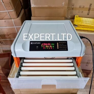 Digər quşlar: Expert şirkətinin rəsmi istehsalı olan, android-rejimli aparatların — 15