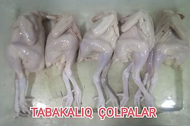 • Pulsuz Çolpa Əti. Ən böyük çəkidə 850+ qramlıq 5 ədəd alana 1 ədəd