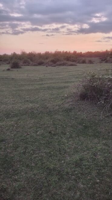 xacmaz qusarcay kendi: 24 sot, Biznes üçün, Barter mümkündür, Kupça (Çıxarış)