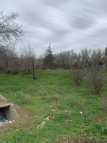 Продажа участков: 90 соток, Для бизнеса, Красная книга — 16