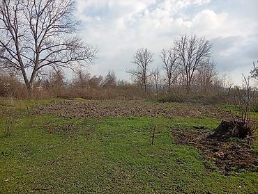 heyetler: Oğuz, 100 kv. m, 3 otaqlı, Hovuzsuz, İnternet — 6
