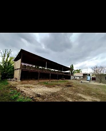 Продажа коттеджей и домов: Продаётся дом в селе Дмитриевка Ысык-Атинского района, с большим — 2