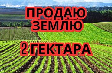 проекты дом: 🌱 Сатылат жер — 2 гектар 🌱 📍 Жайгашкан жери: Чоң-Далы айылы