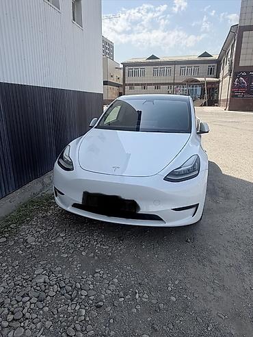 small car: Tesla Model Y: 2021 г., Электромобиль, Кроссовер — 1