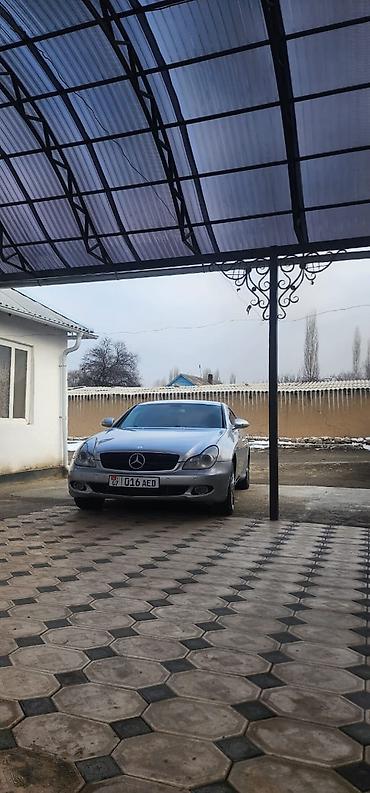фонари освещения: Mercedes-Benz CLS-Class: 2004 г., Купе — 3