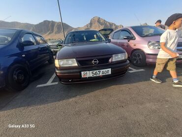 опел вектра с: Opel Vectra: 1995 г., 1.8 л, Механика, Бензин, Седан