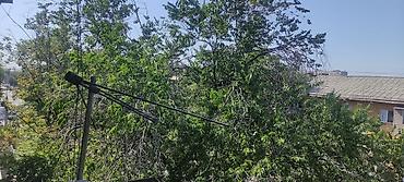 Продажа квартир: 1 комната, 32 м², 104 серия, 5 этаж, Косметический ремонт at lalafo.kg — 11 Продажа квартир: 1 комната, 32 м², 104 серия, 5 этаж, Косметический ремонт — 11