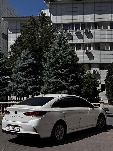 freeways: Автопрокат, прокат авто, аренда авто, аренда без водителя, авто — 3