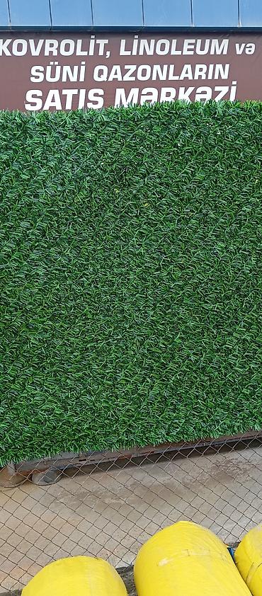 Bağ və bostan üçün digər məhsullar: Yaşıl arakəsmə. Türkiyə istehsalı paslanmayan ikiqat məftil və dörd — 6