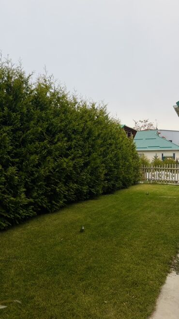 Долгосрочная аренда домов: ЦО Royal Beach. Центр отдыха Роял Бич. Коттедж. Дом. Royal Beach Club — 5