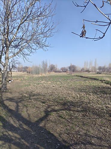 Продажа коттеджей и домов: Срочно продаю дом,рядом городом Кара-Балта.Село Вознесеновка улица — 9