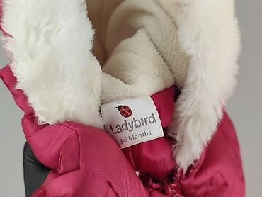 bluza house hello kitty: Kurtka, Ladybird, 3-6 miesięcy, stan - Bardzo dobry — 5