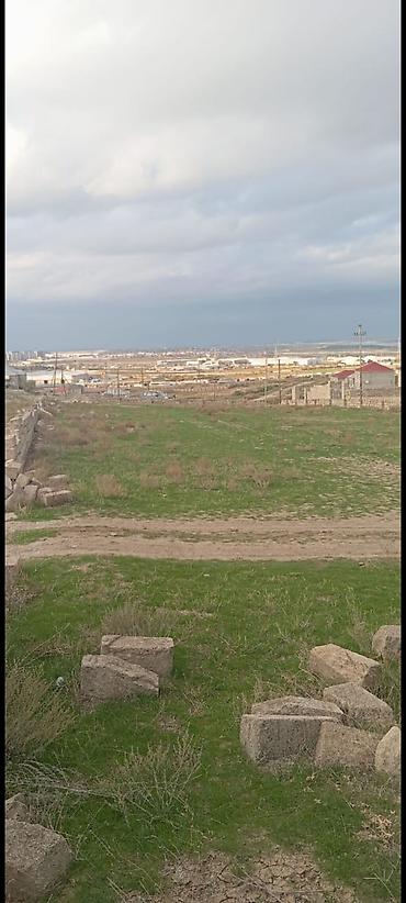 Tikinti