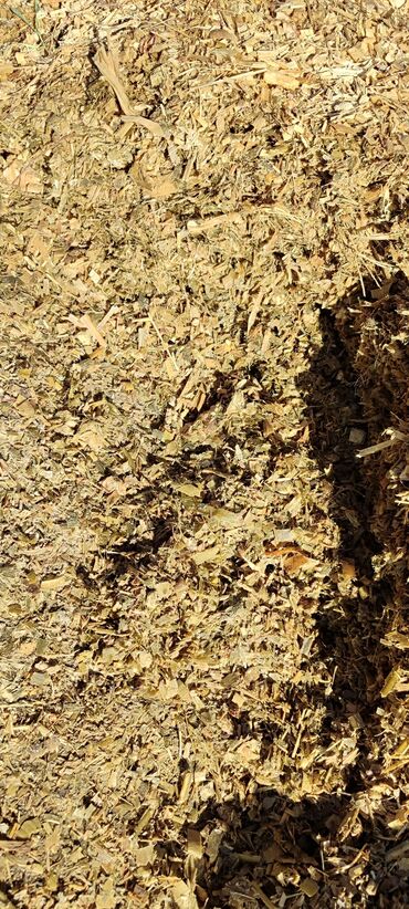 домик для кошки многоуровневый: ПРОДАЮ СИЛОС ПО 5.5СОМ г.КАНТ с.АК-КУДУК 
📞