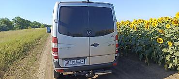 sprinter 2 2: Легкий грузовик, Mercedes-Benz, Стандарт, 3 т, Б/у — 10