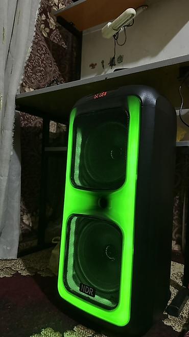 bowers and wilkins: Портативная акустическая система NDR с караоке Комплектация: - — 4