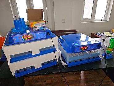 İnkubatorlar: 100 yumurta, Çin, Fabrik istehsalı, Tam avtomat, Bütün növ quşlaq üçün — 10