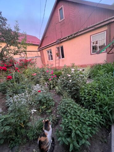 гостиница аламединский рынок: Полдома, 60 м², 3 комнаты, Агентство недвижимости, Косметический ремонт