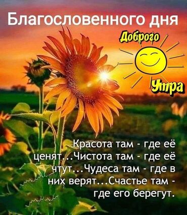 отдам бесплатно даром: Приму в дар женские вещи в хорошем состоянии 54,56 р