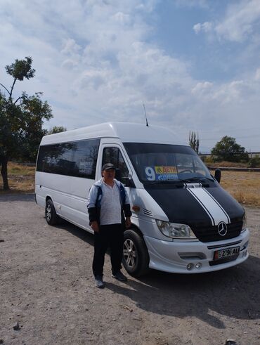 мерседес 110: Mercedes-Benz Sprinter: 2002 г., 2.9 л, Механика, Дизель, Бус